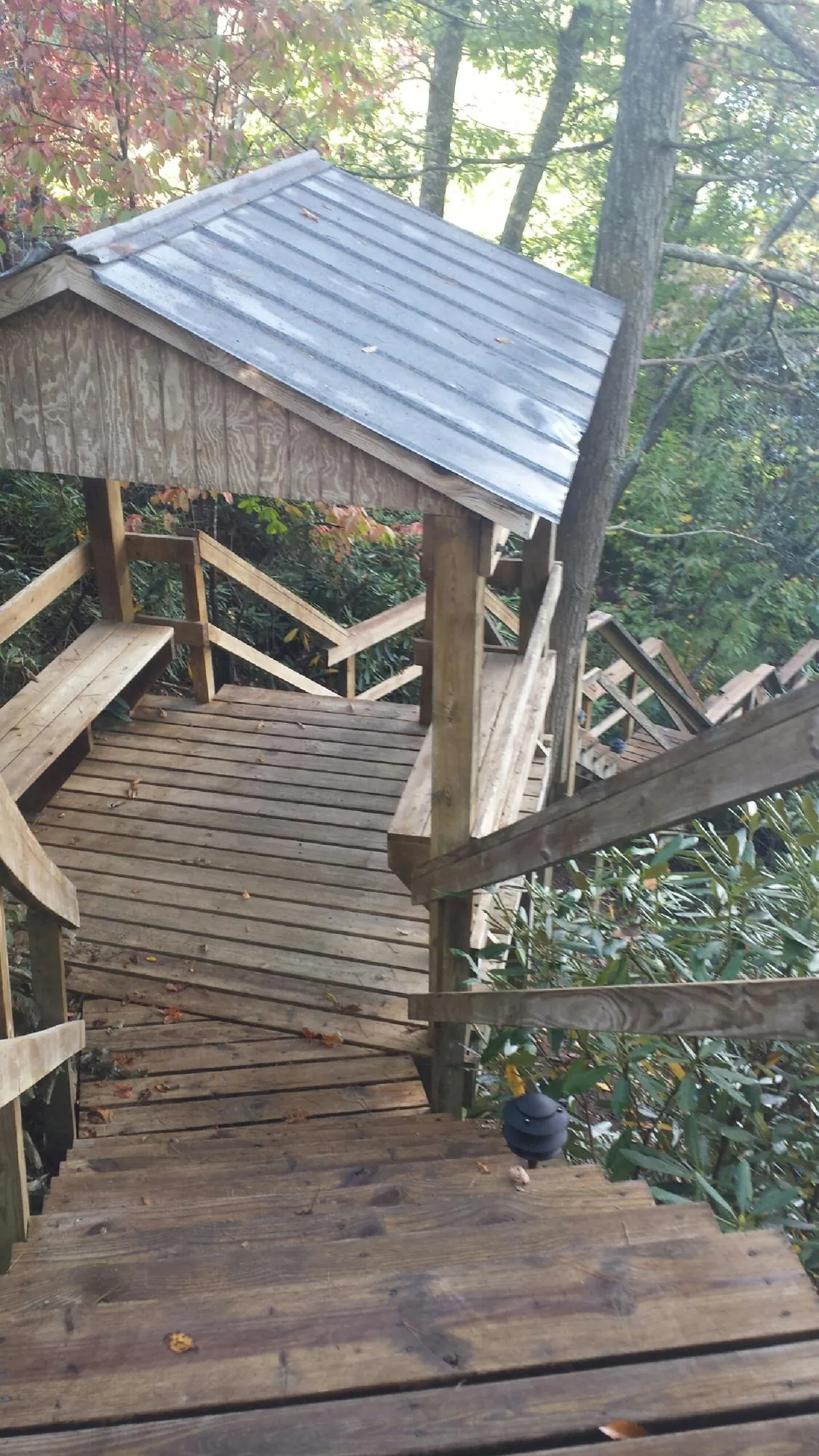 Metal roofed shelter over wooden steps on a wooded walkway — Skylight Repair & Installation work by our crew in Hagaman
